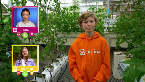 Wifina - 16. června 2023