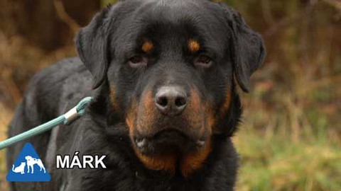 Chcete mě? - Chcete je?