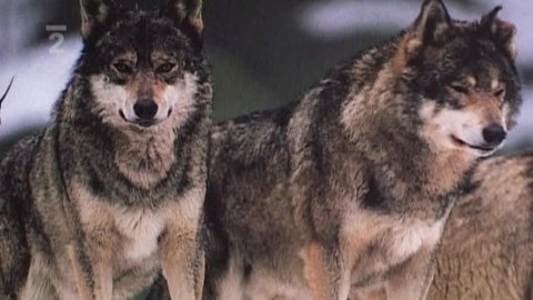 Tisíc let české myslivosti - 14. května 2009