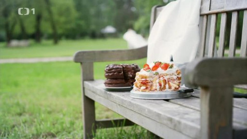 Deník Dity P. - 5/16 Moje dorty