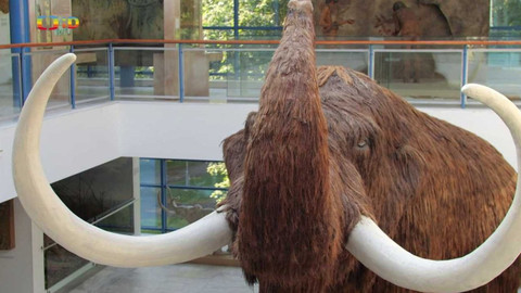 Zprávičky - 16. července 2023