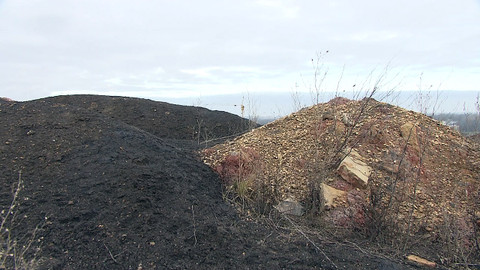 Nedej se! - Havárie práva VII