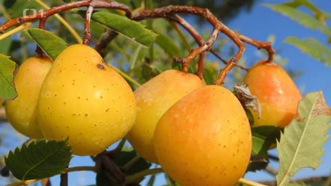 Polopatě - 1. října 2023