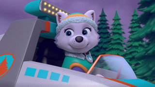 Tlapková patrola IV