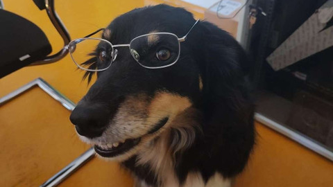 Test iV - Krásné testovací video