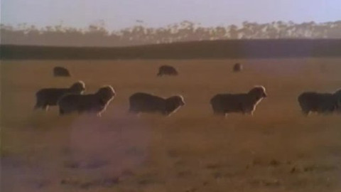 Přidej se - Austrálie II.