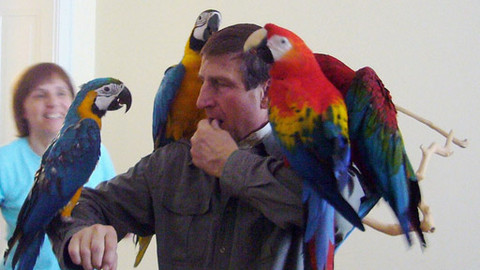 Máte mě! - 4. března 2012