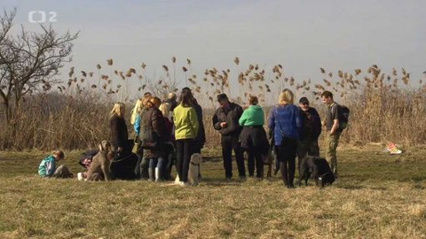 Nedej se! - Nečekali na Ječmínka
