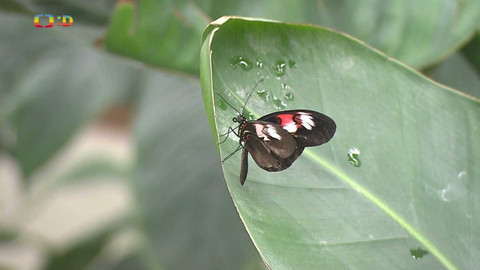 Zprávičky - 16. března 2024