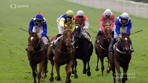 Sport 2015 - České ligy a závody