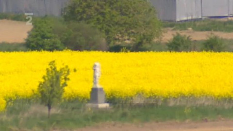 Náš venkov - Ta kobylka vychrtlá