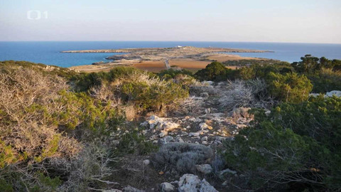 Objektiv - 6. srpna 2023