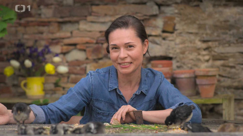 Herbář - 8. prosince 2024