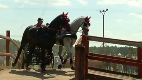 Jezdectví - CAI3* spřežení Němčice