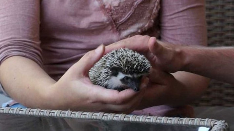 PLANETA YÓ - 12. ledna 2021