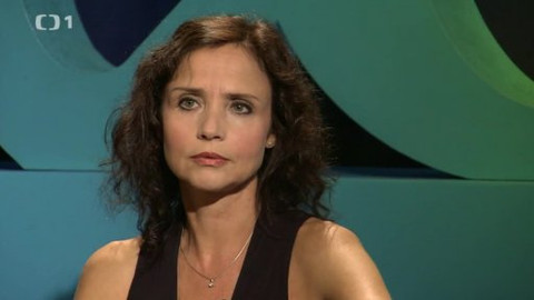 Všechnopárty - 11. října 2013