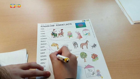 Zprávičky - 12. listopadu 2019