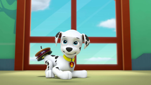 Tlapková patrola - Tlapky zachraňují Luka Starse / Tlapky zachraňují Slepičí den