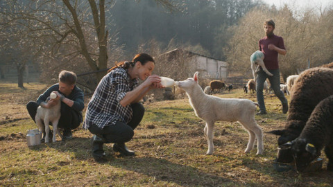 Ke štěstí - 8/12 Práce