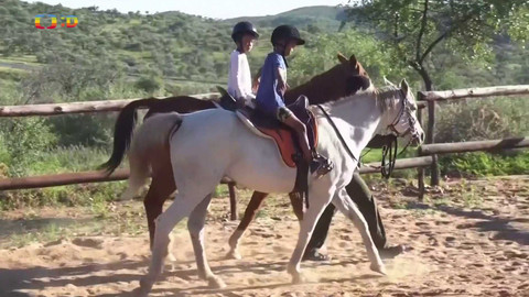 Zprávičky - 26. dubna