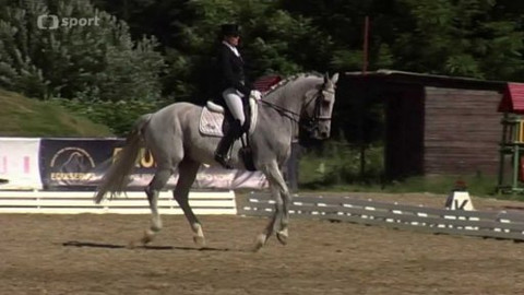 Jezdectví - CDI-W Brno 2015