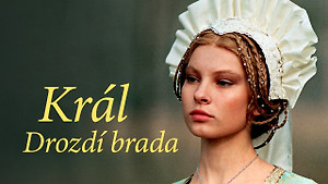 Obrázek pořadu Král Drozdí brada