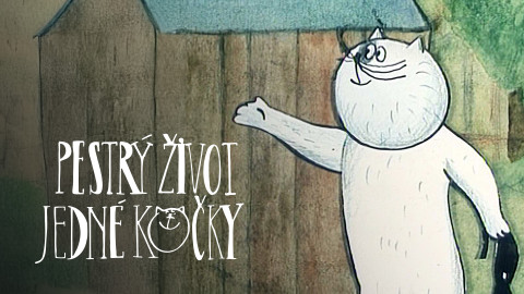 Pestrý život jedné kočky