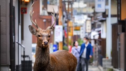 Asie - 5/7 Přeplněný kontinent