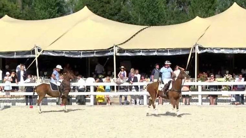 Jezdectví - Prague Beach Polo Masters