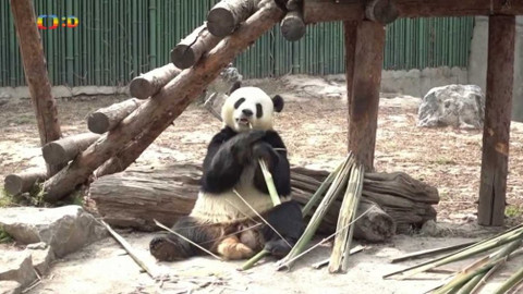 Zprávičky - 24. března 2020