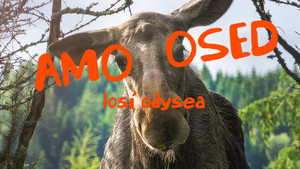 Obrázek pořadu Amoosed: losí odysea
