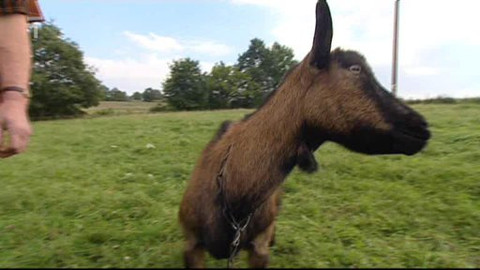 Mezi námi zvířaty - 24. října 2009