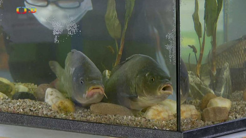 UčíTelka - Člověk a jeho svět