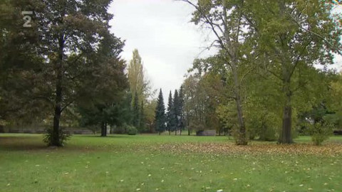 Nedej se! - Obnova Tyršových sadů