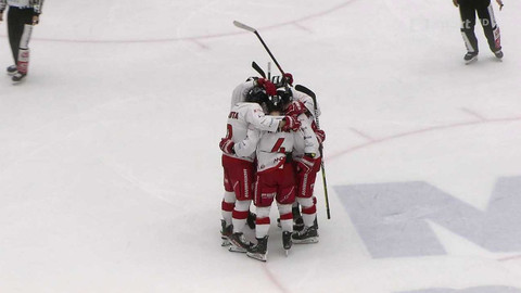 Buly hokej - Buly - souhrn