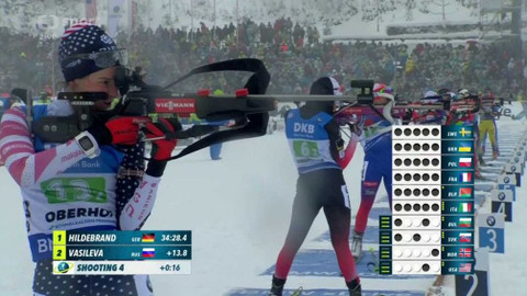 Světový pohár v biatlonu - Německo