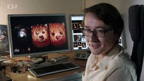 Evropa dnes - Umělcův kód - mohou být algoritmy tvořivé?