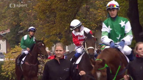 Turf - 27. října 2016