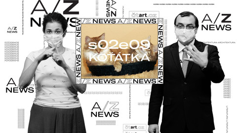 A/Z NEWS - Koťátka
