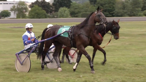 Jezdectví - České klusácké derby