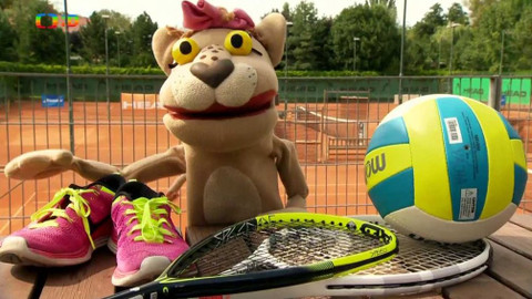 Lvíčata - 23. září 2017