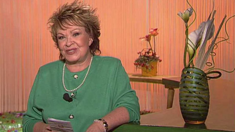 Dobrá rada nad zlato - 28. května 2006