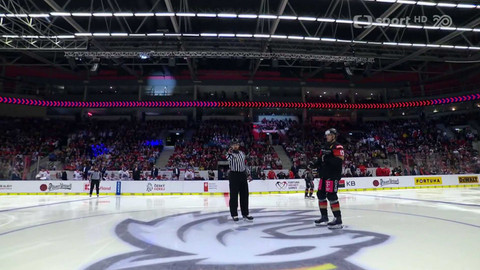 Hokej - Česko - Německo