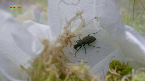 Terčin zvířecí svět - 19. listopadu 2021