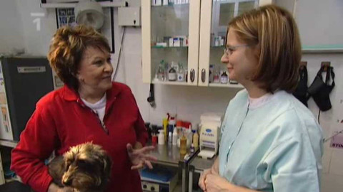 Dobrá rada nad zlato - 13. června 2009