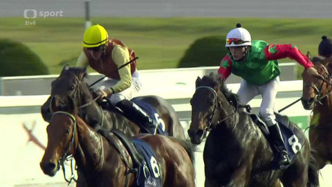 Dostihy - 99. Cena prezidenta republiky