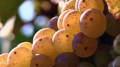 Folklorní magazín - 12. listopadu 2011