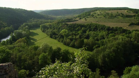 Minuty z přírody - Vinice Šobes