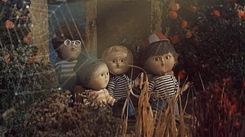 Zahrada - O té velké mlze