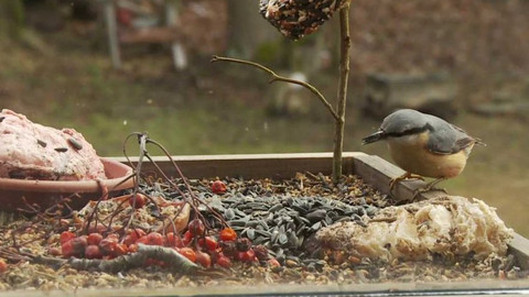 Novinky z přírody - Epizoda 43/53